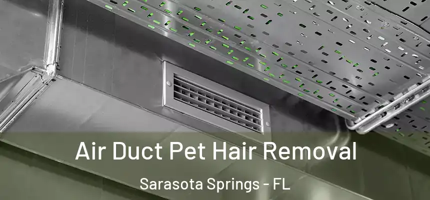 Air Duct Pet Hair Removal Sarasota Springs - FL