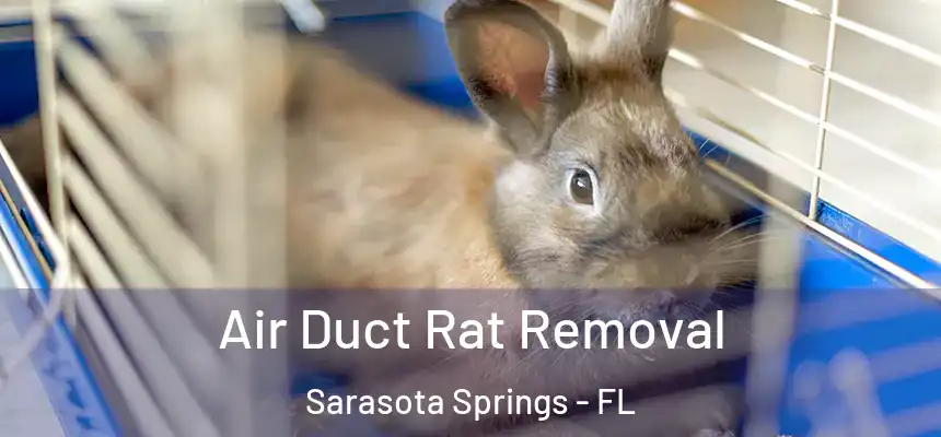  Air Duct Rat Removal Sarasota Springs - FL