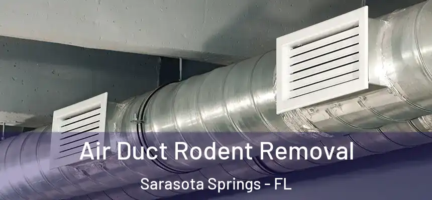  Air Duct Rodent Removal Sarasota Springs - FL