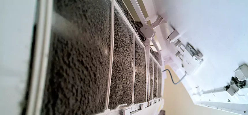 Preventive Air Duct Bacteria Removal in Sarasota Springs