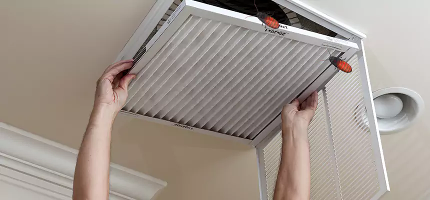 Preventive Cockroach-Proofing for Ducts in Sarasota Springs