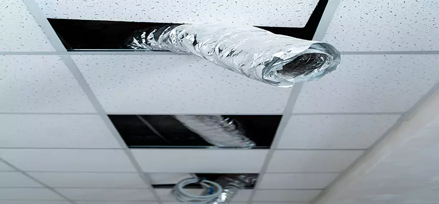 Affordable HVAC Sanitizing After Pest Removal in Sarasota Springs