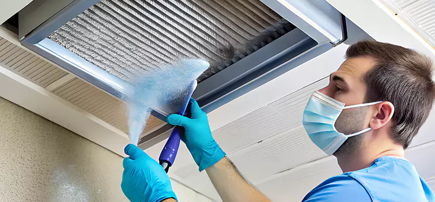 Proactive Dryer Vent & Auxiliary Duct Pollen Cleanup in Sarasota Springs, FL