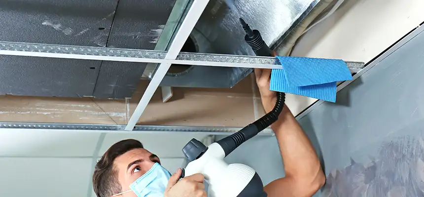 Our Air Duct Rodent Removal Services in Sarasota Springs, FL