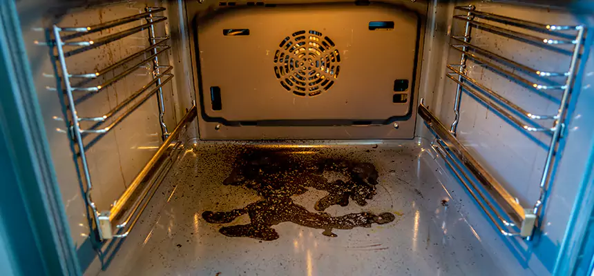 Our Dryer Vent Mold Cleaning Services in Sarasota Springs, FL