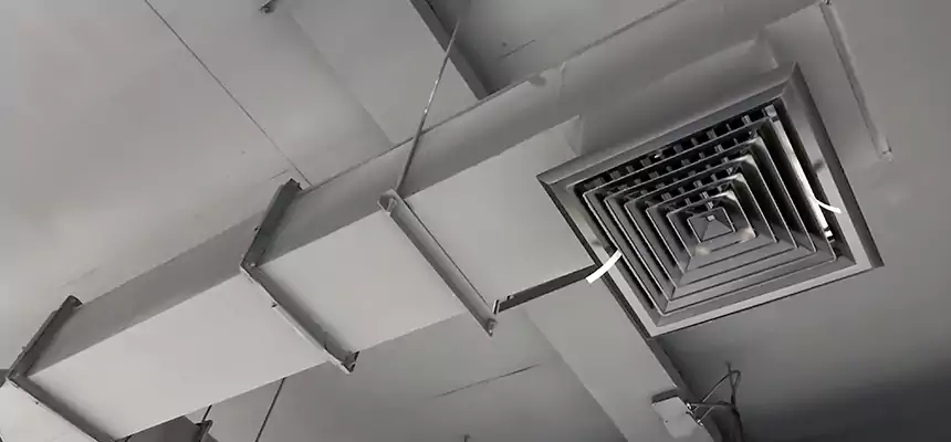 Our Rodent Droppings In Vents Services in Sarasota Springs, FL