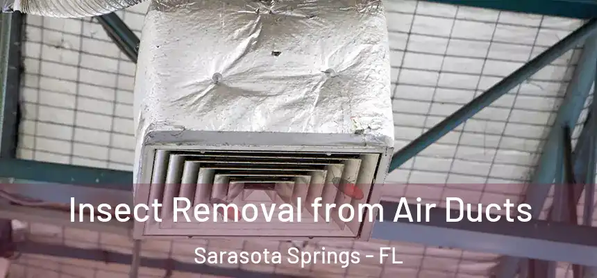  Insect Removal from Air Ducts Sarasota Springs - FL