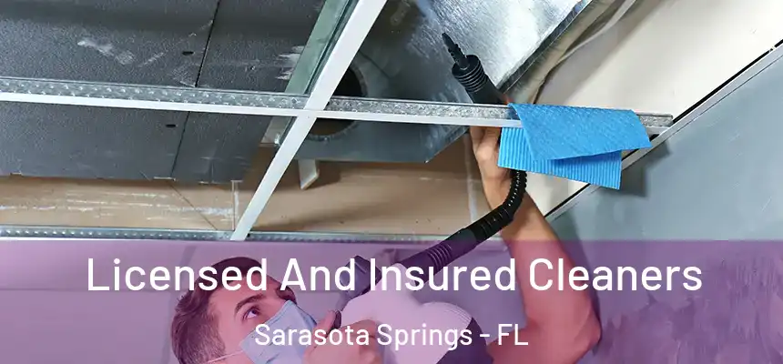  Licensed And Insured Cleaners Sarasota Springs - FL