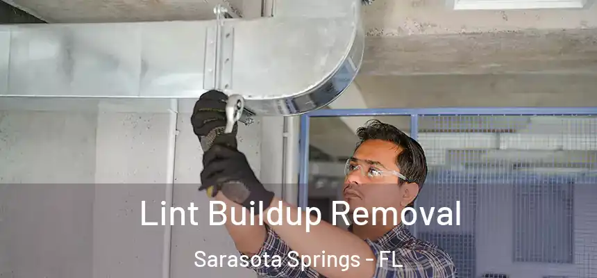  Lint Buildup Removal Sarasota Springs - FL