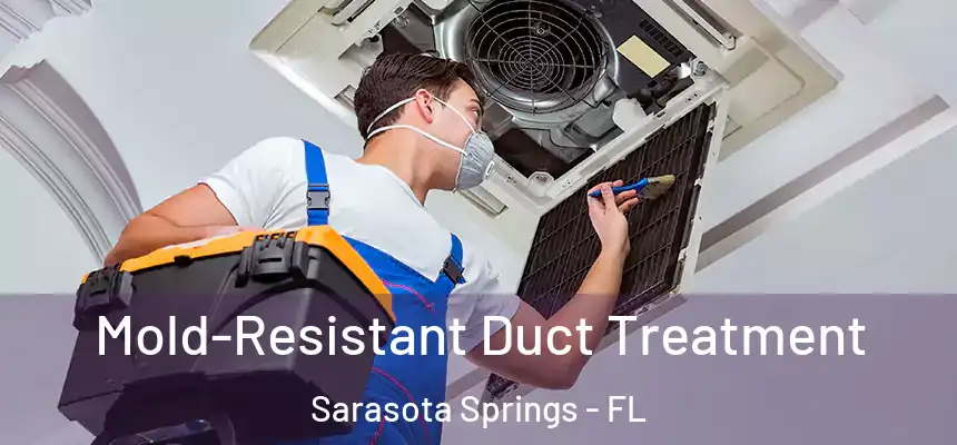 Mold-Resistant Duct Treatment Sarasota Springs - FL
