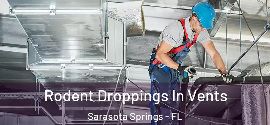  Rodent Droppings In Vents Sarasota Springs - FL