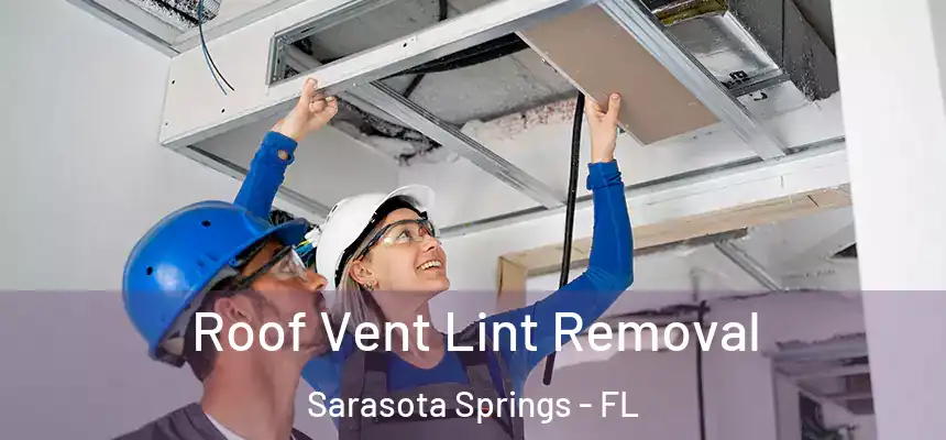  Roof Vent Lint Removal Sarasota Springs - FL