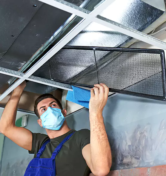 Professional Air Duct Pollen Cleaning in Sarasota Springs, FL