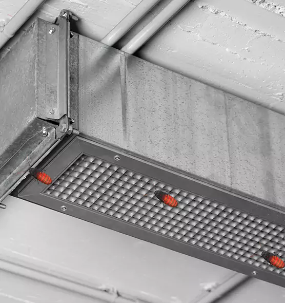 Affordable Insect Removal from Air Ducts in Sarasota Springs, FL