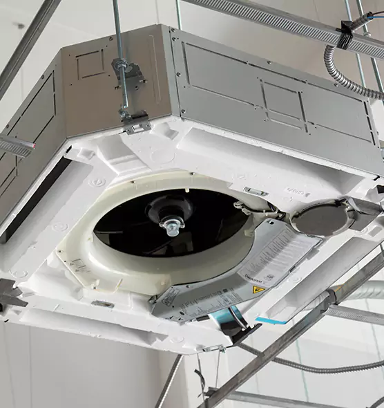 Professional Roof Vent Lint Removal Sarasota Springs, FL