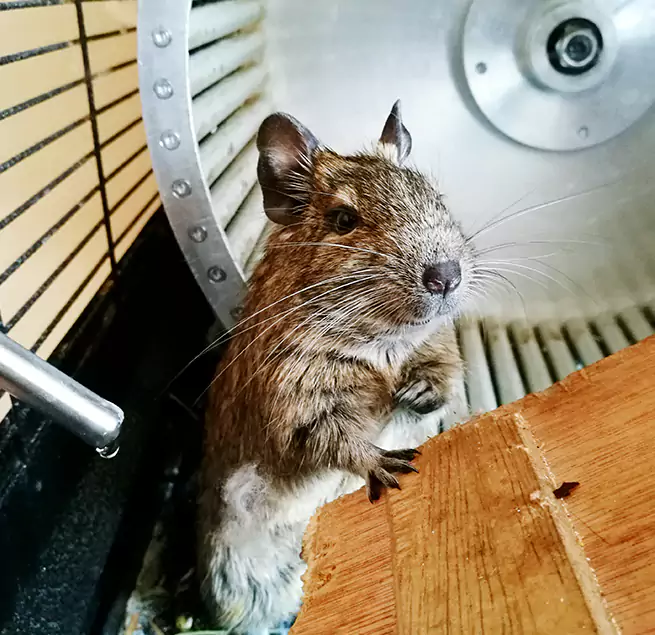 Why Homeowners & Businesses Trust Us Sarasota Springs, FL?