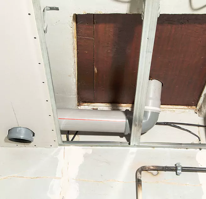 Why Homeowners & Businesses Trust Us in Sarasota Springs, FL?