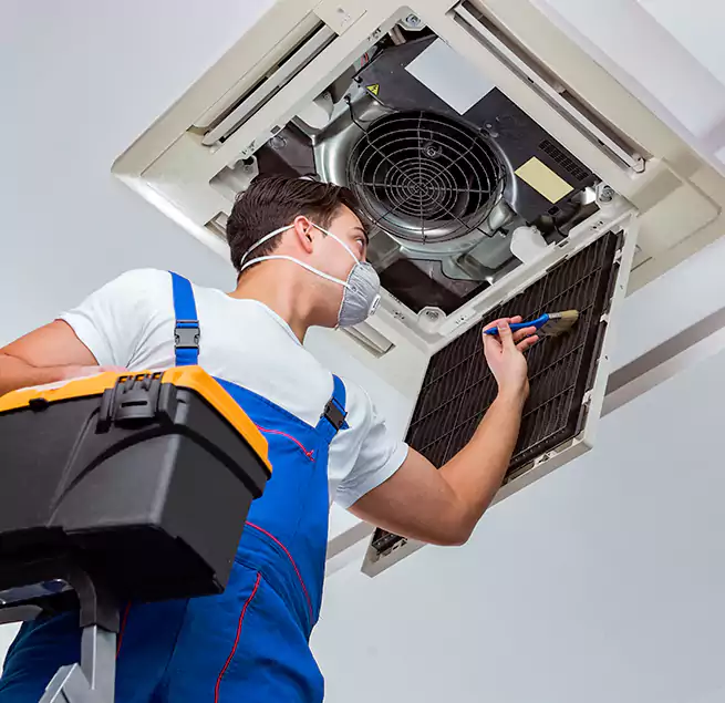 Why Homeowners & Businesses Trust Us in Sarasota Springs, FL