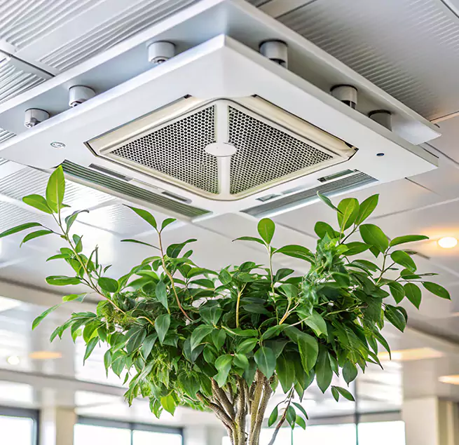 Why Homeowners & Businesses Trust Us in Sarasota Springs, FL?