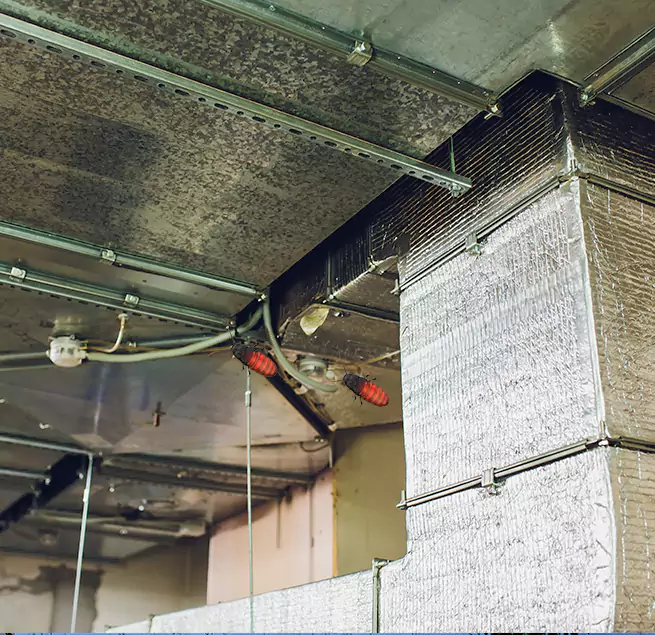 Why Homeowners & Businesses Trust Us Sarasota Springs, FL?