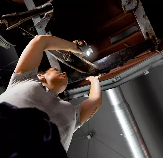 Why Homeowners & Businesses Trust Us Sarasota Springs, FL